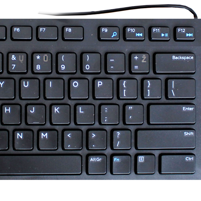 Dell | KB216 | Black | Multimedia | Wired | US | Black | Lithuanian | Numeric keypad