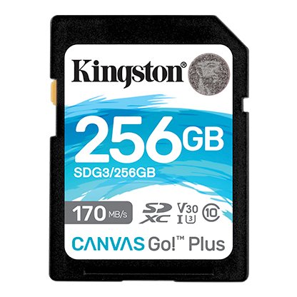 Kingston | Canvas Go! Plus | 256 GB | Flash memory class 10