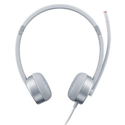 Lenovo | Headset | 100 Stereo Analogue | Yes | 3.5 mm