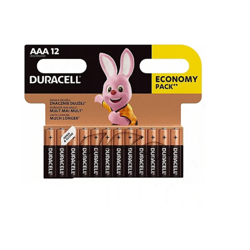 Duracell | Basic MN2400 BL12 | AAA
