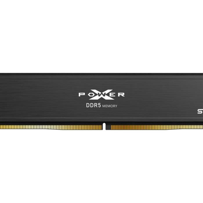Silicon Power 16 GB | DDR5 | 6000 MHz | PC/server | Registered No | ECC Yes