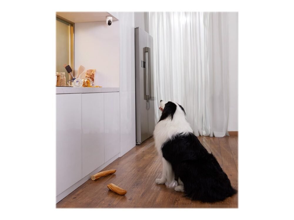 Anker Eufy | Security Indoor Camera | Cam 2K Pan & Tilt | Tabletop/ Ceiling-Mounted | H.265, H.264 | SD card, Max 128GB | White - Image 4