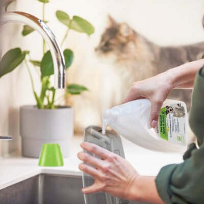 Bissell | PET Spot and Stain Portable Carpet Cleaning Solution | 2000 ml