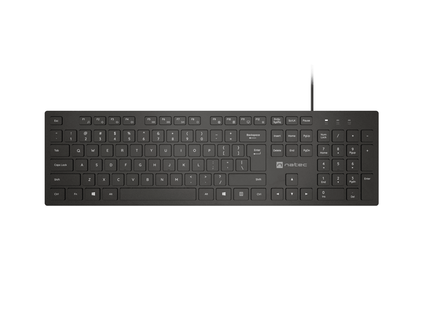 Natec | Herring | Keyboard | Wired | US | Black