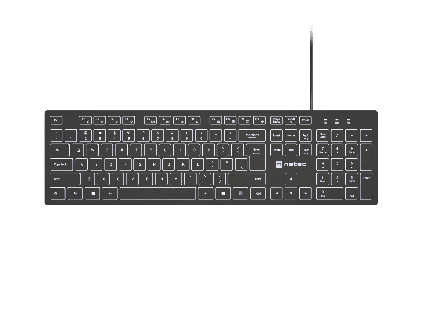 Natec | Herring Glow | Keyboard | Wired | US | Black