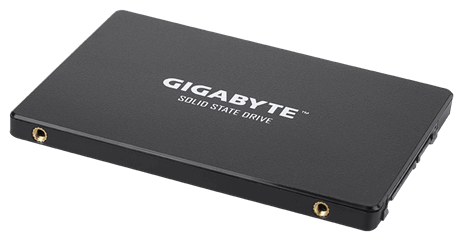 Gigabyte | GP-GSTFS31256GTND | 256 GB | Solid-state drive interface SATA | Read speed 520 MB/s | Write speed 500 MB/s