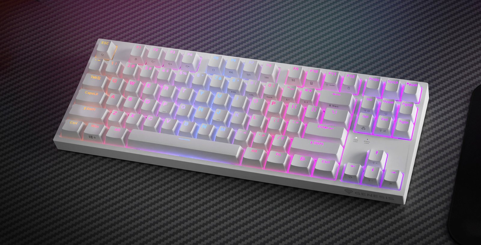 Genesis | THOR 404 TKL | Mechanical Gaming Keyboard | Wired | US | Gateron Yellow Pro | White | RGB